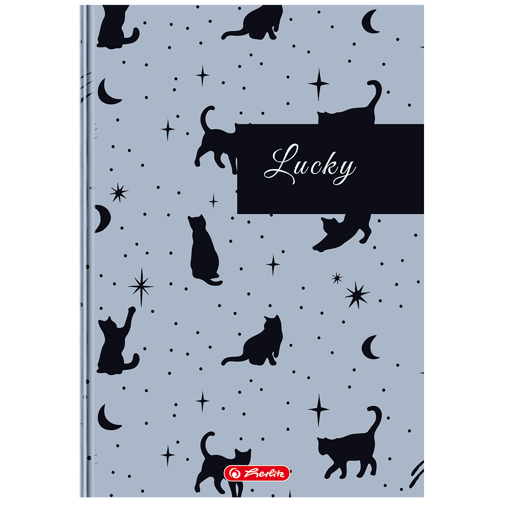 Brulion A4 96k linia z marginesem mix okładek 400207787 HERLITZ