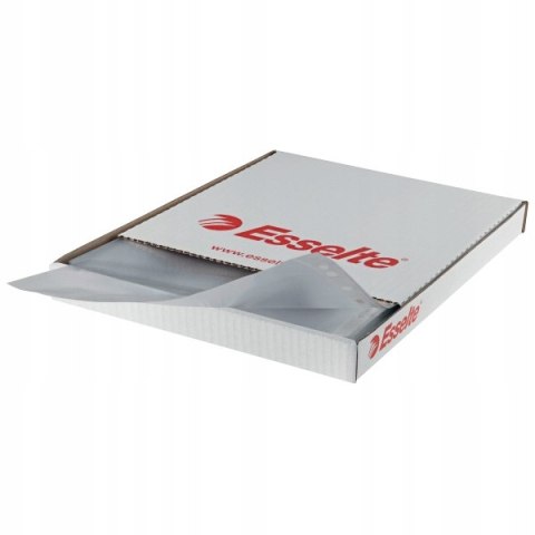 Koszulki groszkowe na dokumenty A4 43mic 100 sztuk w pudełku 56133 ESSELTE