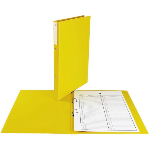 Teczka do akt osobowych 2R/3cm żółta TD-11-09 BIURFOL Teczka do akt osobowych 2R/3cm żółta TD-11-09 BIURFOL