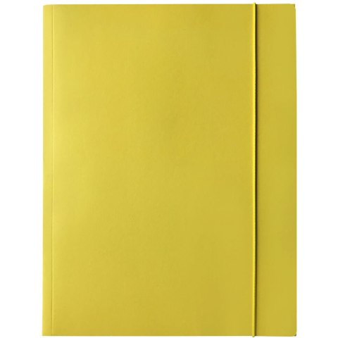 Teczka kartonowa z gumką A4 LIT żółta 400114423 BANTEX