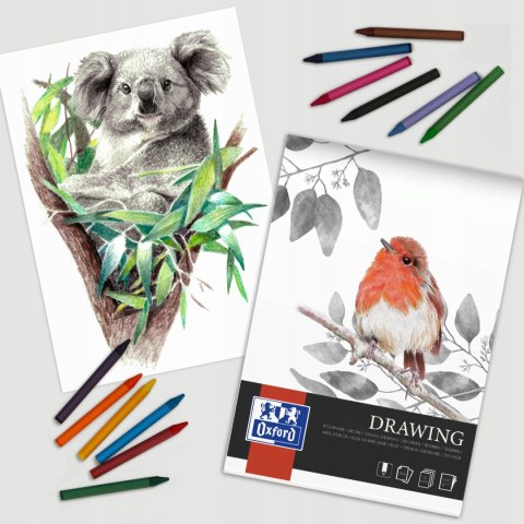 Blok rysynkowy A4 szkicownik 40 kartek 160g klejony 400166107 OXFORD