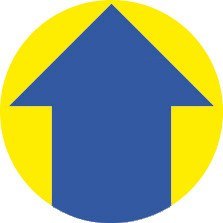 Kółka Strzałka trwałe 19mm żółto-niebiskie 3860 AVERY ZWECKFORM