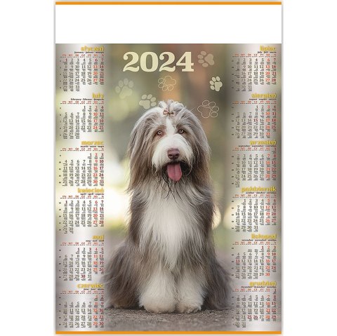 Kalendarz Plakatowy B1, P18 PIES I KOT 67x98cm TELEGRAPH