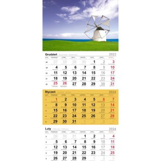 Kalendarz trójdzielny(H) DRZEWA T-106T-02 Michalczyk i Prokop