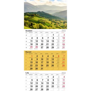 Kalendarz trójdzielny(H) PALMY T-106T-07 Michalczyk i Prokop