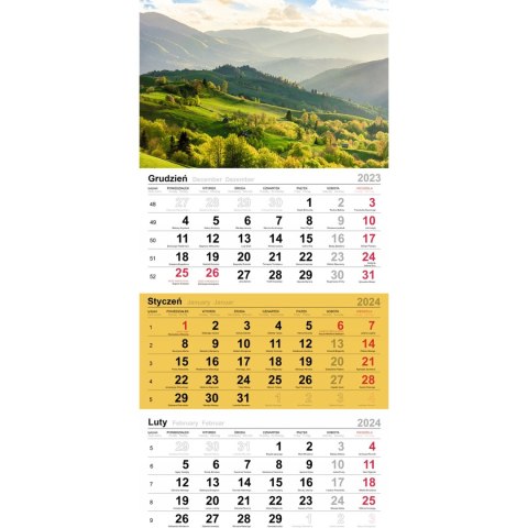 Kalendarz trójdzielny(H) PALMY T-106T-07 Michalczyk i Prokop