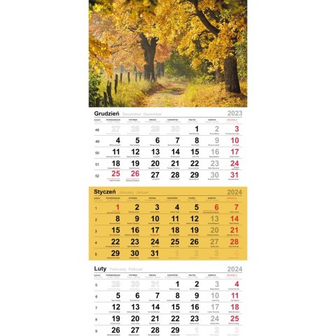 Kalendarz trójdzielny(H) KRAJOBRAZ GÓRSKI T-106T-11 Michalczyk i Prokop