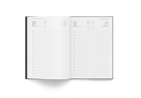Kalendarz dzienny Szefa A5 czarny 2024 9588310 HERLITZ Kalendarz dzienny Szefa A5 czarny 2024 9588310 HERLITZ