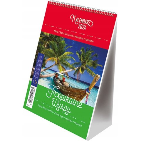 Kalendarz ze spiralką - pion B6 LONDYN T-103-01 Michalczyk i Prokop