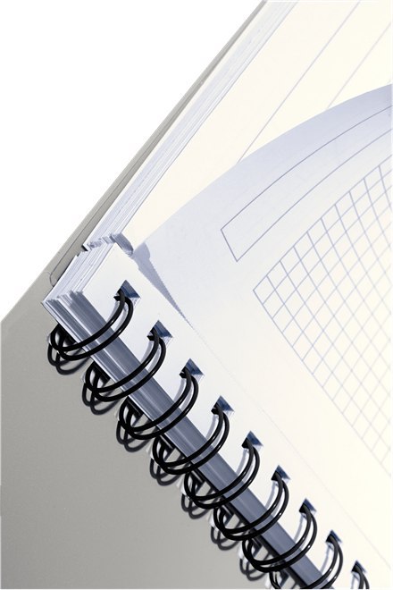 Kołonotatnik A4 80k kratka PP Project Book EXECUTIVE 44670000 LEITZ