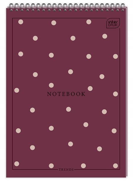 Kołonotatnik A6 100k kratka spirala góra INTERDRUK