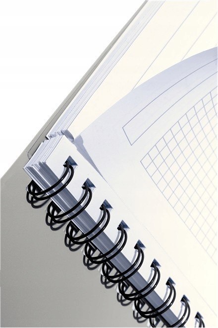 Kołonotatnik EXECUTIVE A4 PP kratka 44610000 LEITZ