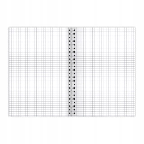 Kołozeszyt A5 100k kratka podwójna spirala CITY 70G 400169509 TOP 2000