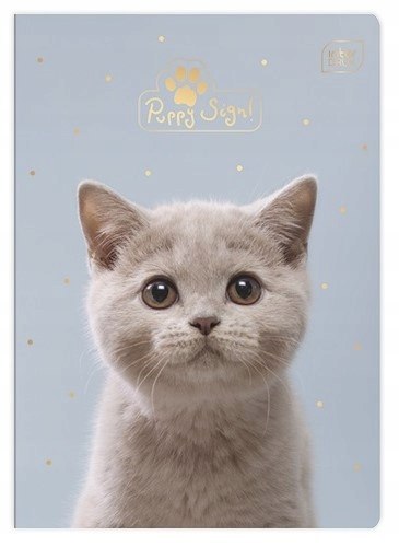 Zeszyt A5 16k UV PUPPY SIGN INTERDRUK