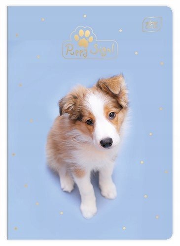 Zeszyt A5 32k 3-linia UV mix INTERDRUK