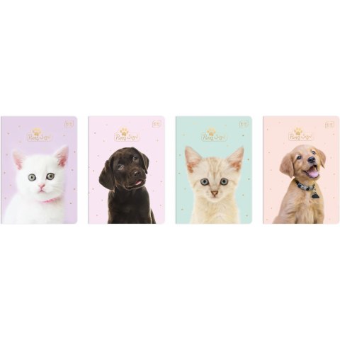 Zeszyt A5 32k kratka UV PUPPY SIGN INTERDRUK Zeszyt A5 32k kratka UV PUPPY SIGN INTERDRUK