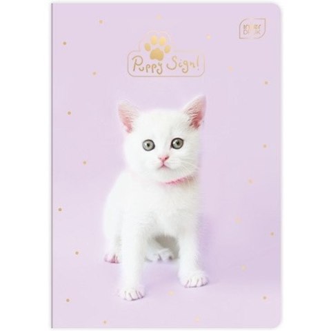 Zeszyt A5 32k kratka kolorowa UV mix INTERDRUK