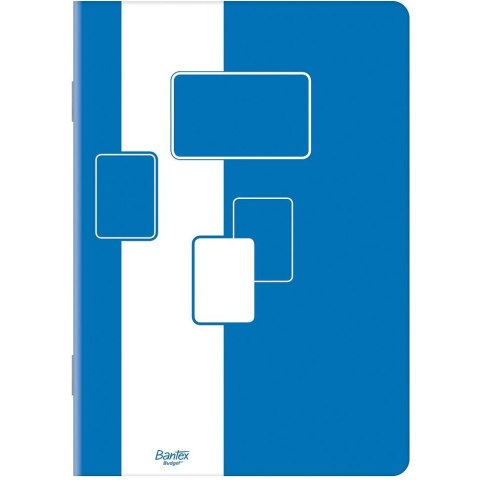 Zeszyt szkolny A5 32 kartek w kratkę margines 400116553 BANTEX BUDGET