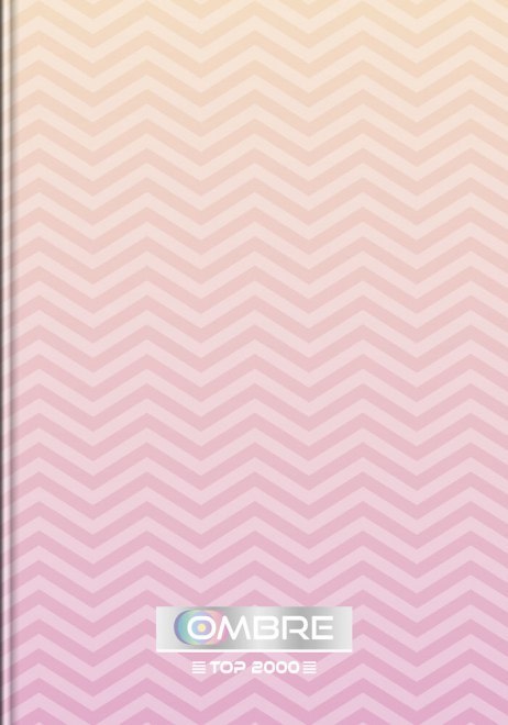 Brulion A5 96k kratka szyty OMBRE 400122231 TOP 2000