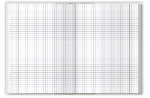 Zeszyt szkolny z twardą okładką A5 Brulion 96 kartek w kratkę COLORS 400169200 TOP 2000