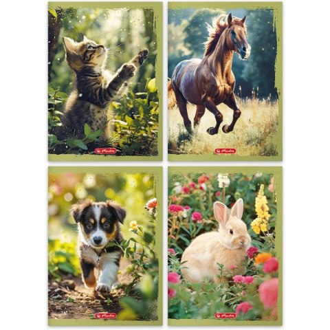 Zeszyt A4 32k kratka ANIMALS 400197964 HERLITZ