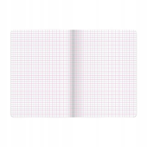 Zeszyt A5 16k kratka kolor 70g ANIMAL 400169483 TOP 2000