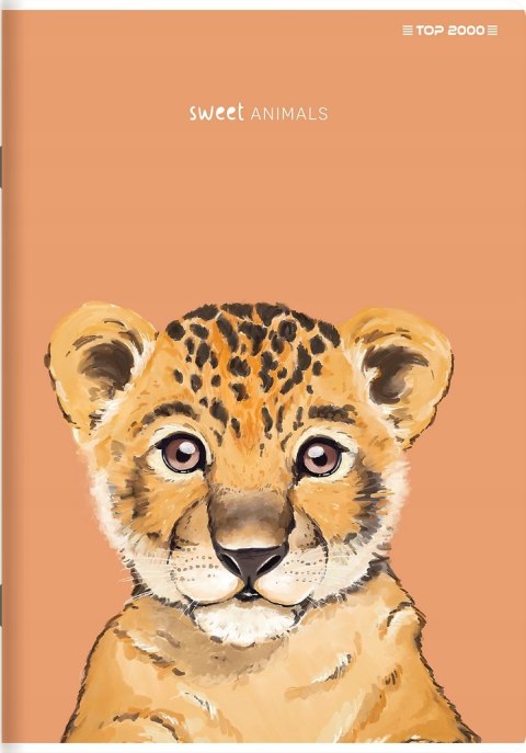 Zeszyt A5 16k kratka kolor 70g ANIMAL 400169483 TOP 2000