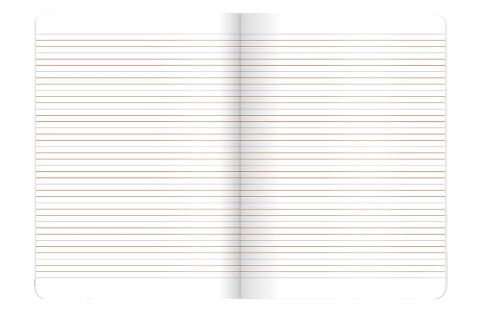 Zeszyt A5 32k 3linia kolorowa OCEAN WONDERS 400182345 TOP 2000