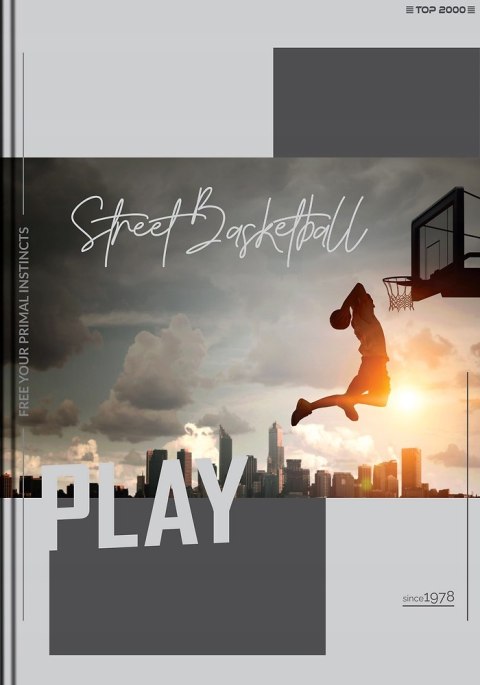 Zeszyt szkolny A5 Brulion 96 kartek w kratkę POSTER 400181912 TOP 2000