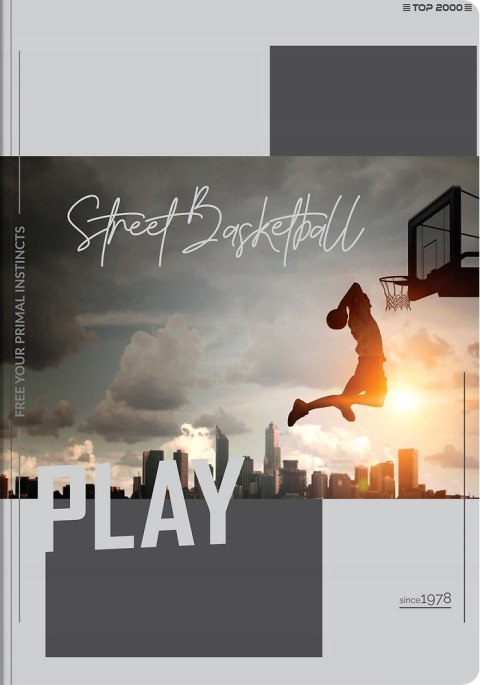 Zeszyt szkolny A5 Brulion 96 kartek w kratkę POSTER 400181914 TOP 2000