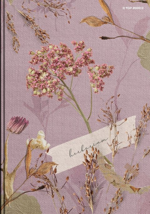 Zeszyt szkolny A5 Brulion 96 kartek w linię z marginesem MEGAMIX 400183671 TOP 2000