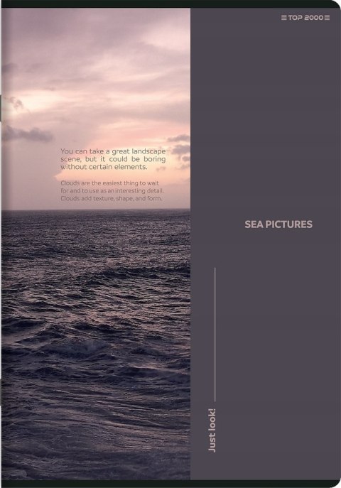 Zeszyt A5 60k linia margines BIRDS EYE 400181622 TOP 2000