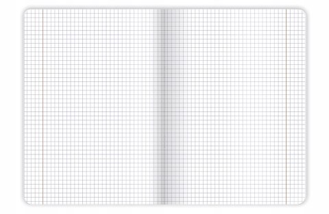 Zeszyt A5 80k kratka margines BOTANY 400181619 TOP 2000
