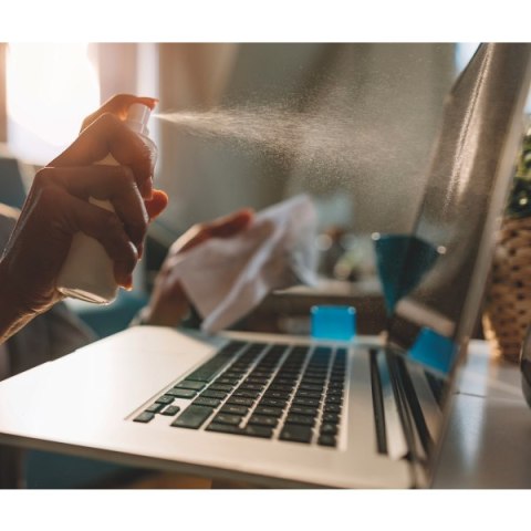 Płyn do czyszczenia ekranów 250ml (67658) ESSELTE DATALINE