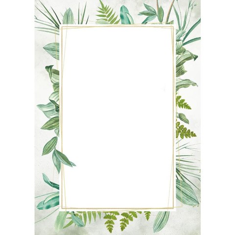 Dyplom A4 BOTANIC 170g (25ark) 219617 GALERIA PAPIERU Dyplom A4 BOTANIC 170g (25ark) 219617 GALERIA PAPIERU