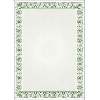 Dyplom A4 CYPRYS 170g (25ark.) 211017 Galeria Papieru