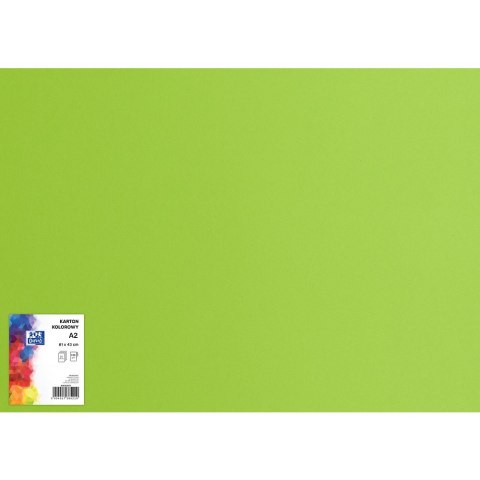 Blok karton kolorowy CREATINIO A2 160g 25 arkuszy nr.66 jasny zielony 400150192 TOP 2000