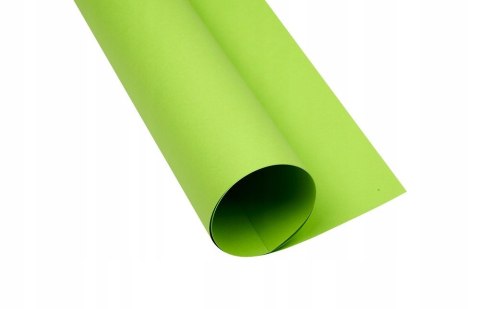 Blok karton kolorowy CREATINIO A2 160g 25 arkuszy nr.66 jasny zielony 400150192 TOP 2000