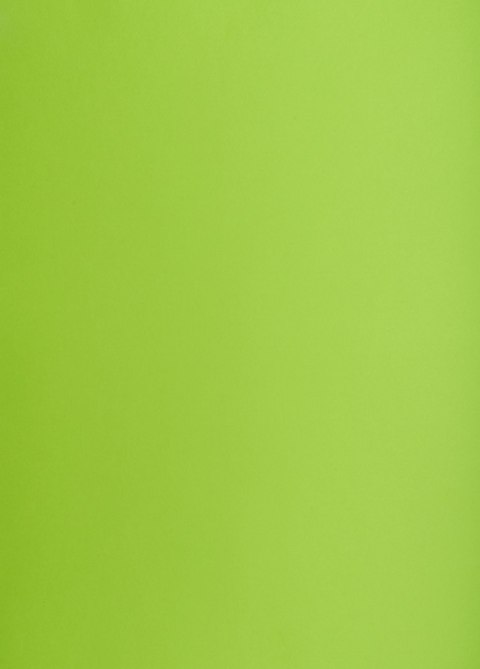 Blok karton kolorowy CREATINIO A2 160g 25 arkuszy nr.66 jasny zielony 400150192 TOP 2000