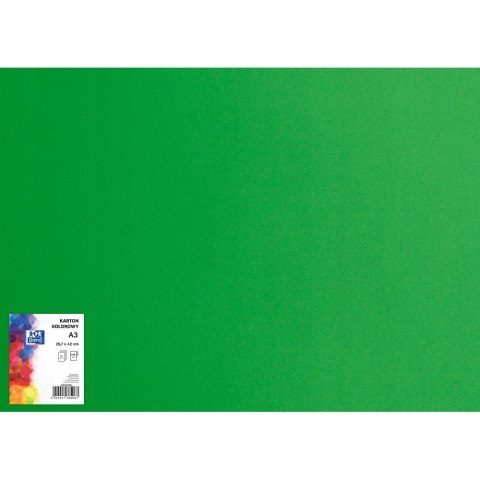 Karton kolorowy CREATINIO A3 160G (25 ark.) 68 zielony 400150241 TOP 2000 Karton kolorowy CREATINIO A3 160G (25 ark.) 68 zielony 400150241 TOP 2000