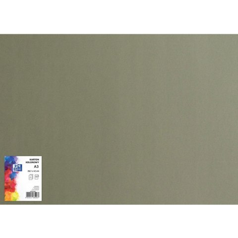 Karton kolorowy CREATINIO A3 160G (25 ark.) 98 ciemnoszary 400150187 TOP 2000 Karton kolorowy CREATINIO A3 160G (25 ark.) 98 ciemnoszary 400150187 TOP 2000