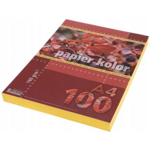 Papier ksero A4 160g KRESKA żółty 100ark Papier ksero A4 160g KRESKA żółty 100ark