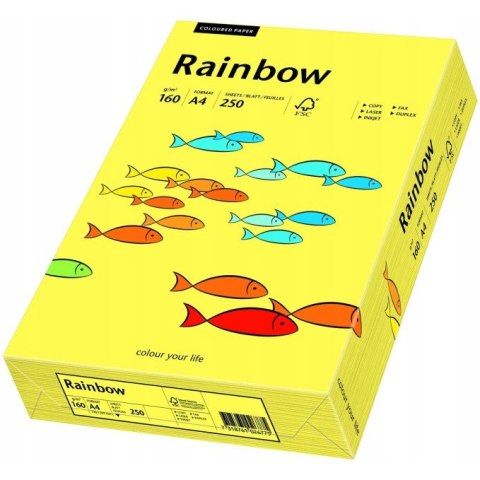 Papier ksero A4 160g RAINBOW R16 żółty 250ark 88042351 Papier ksero A4 160g RAINBOW R16 żółty 250ark 88042351