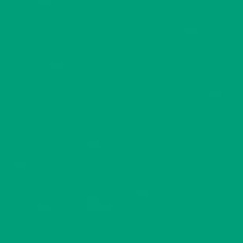 Papier ksero A4 80g TROPHEE intesywna zieleń choinkowa XCA41783