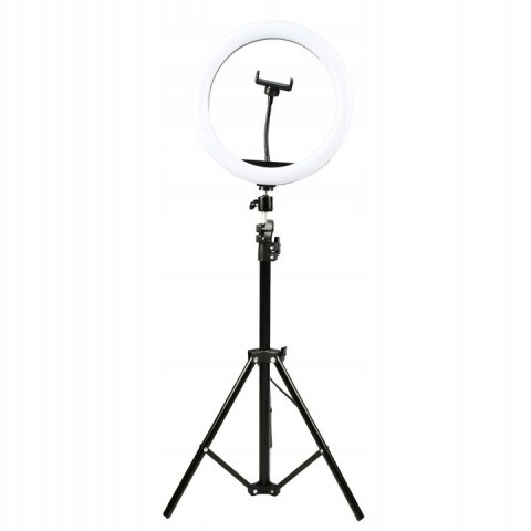 Statyw + lampa led ring 30cm + uchwyt na telefon (RLT-1201) DENVER