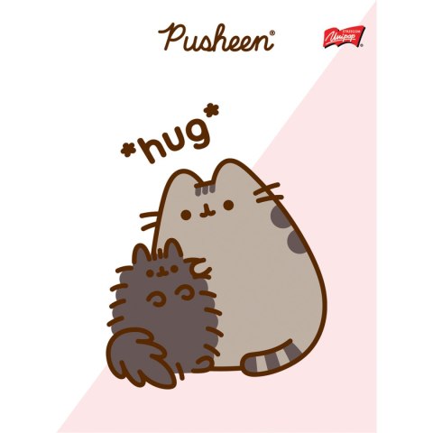 Zeszyt szkolny A5 32 kartki w 3 linie kolorową laminowany PUSHEEN ST.MAJEWSKI