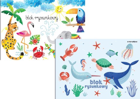 Blok rysunkowy szkolny A4 biały 20 kartek 70g 400184492 TOP 2000