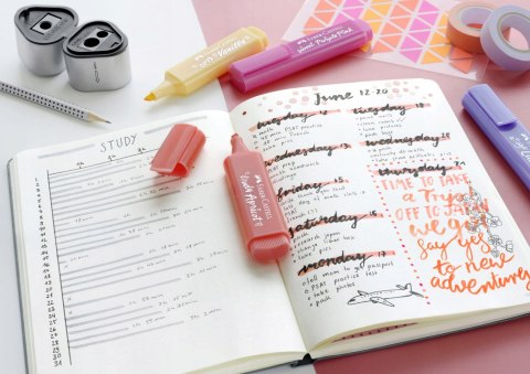 Zakreślacz 1546 8 kolorów pastelowych 254658 Faber-Castell