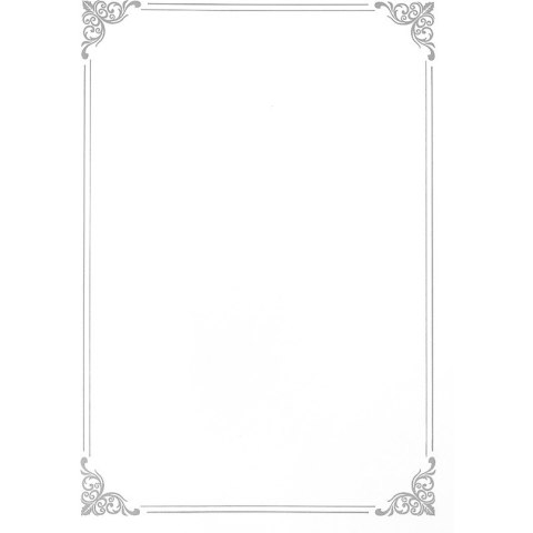 Dyplom A4 SILVER 190g. (20ark.) 210719 Galeria Papieru