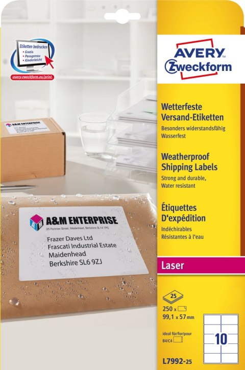 Etykieta biała 99,1x57mm (25 arkuszy = 250 etykiet) L7992-25 AVERY ZWECKFORM